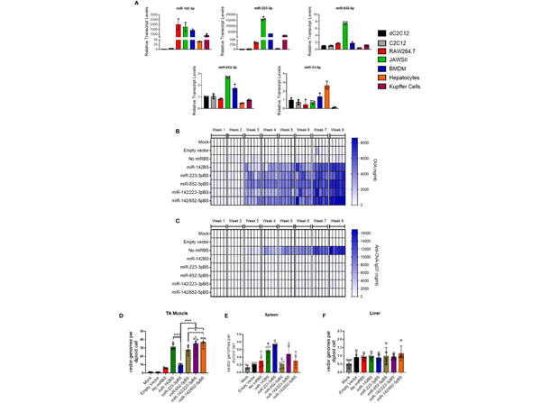 ELISA using Ovalbumin HRP